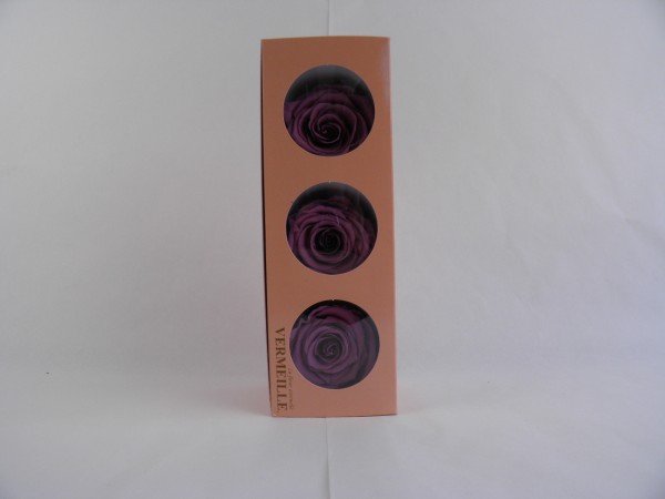 Gefrier Rose Lilac